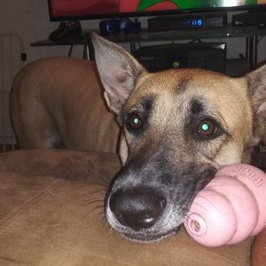 Meet your Posher, Joseph